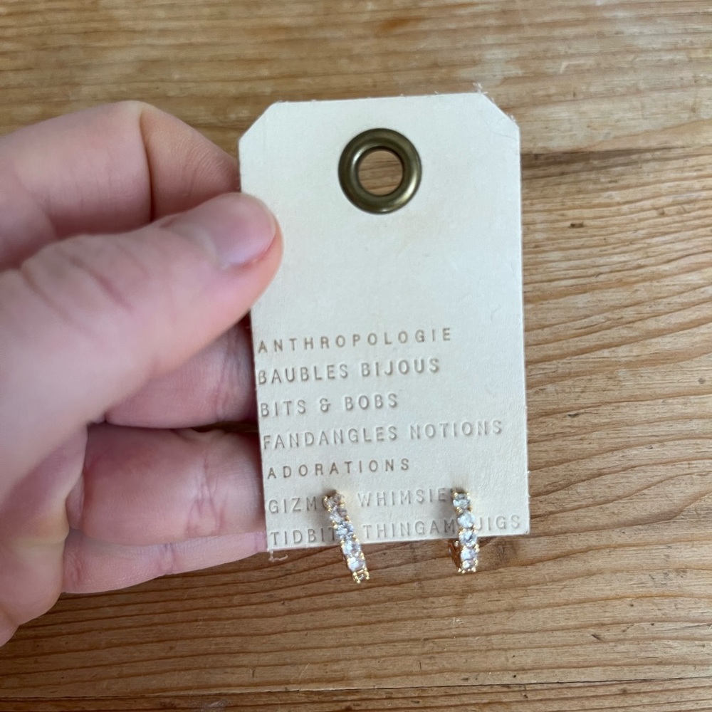 Anthropologie Diamond Hoop Earrings